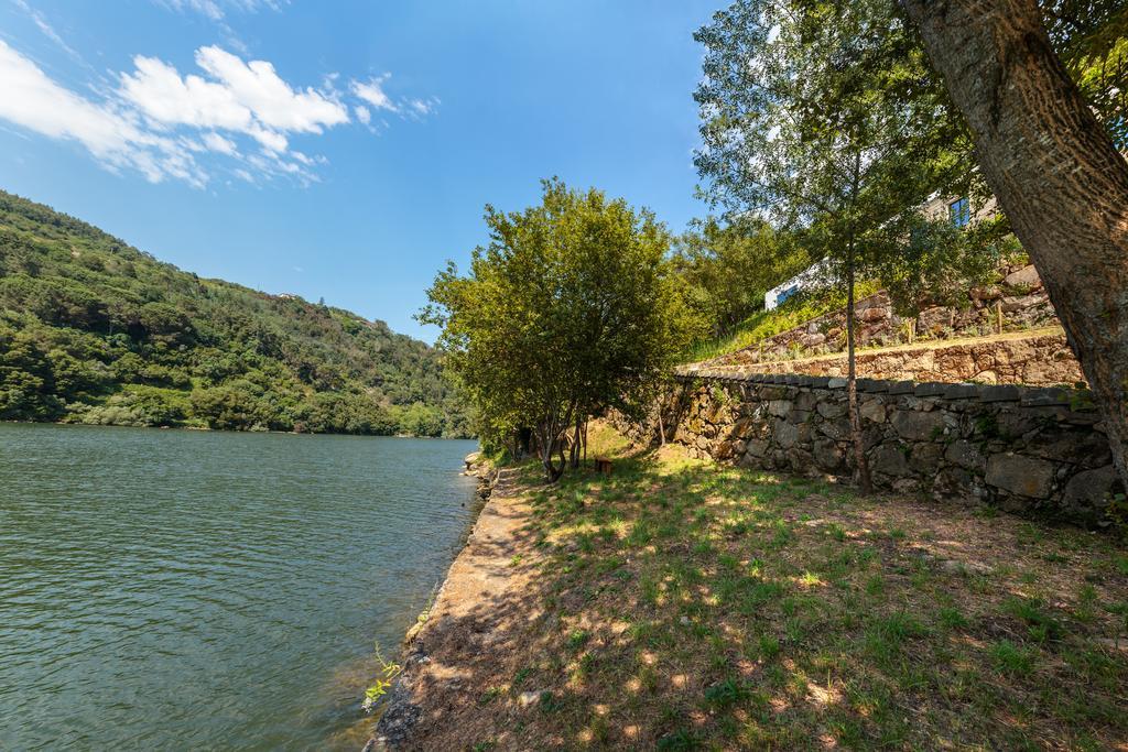 Douro Green 카스텔루 지 파이바 외부 사진